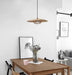 Kasa Pendant Lamp - DWHOME