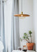 Kasa Pendant Lamp - DWHOME
