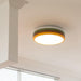 Yupizza Modern Colourful Ring Stacks Ceiling Lamp - DWHOME