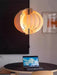 Saturn Ring Pendant Light - DWHOME