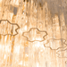 Rina Firenze Chandelier-DWHOME