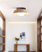 Caelo Ceiling Lamp-DWHOME