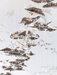 Leaf Twisted Sculptural Customize Chandelier