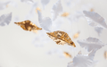 Leaf Twisted Sculptural Customize Chandelier - Vakkerlight