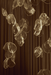 Luminous Glass Petals Pendant Lamp