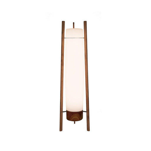 Side LED Floor Lamp-DWHOME