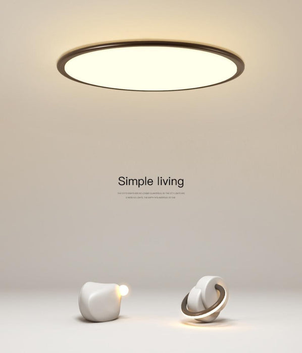 LED Ultra-thin Simple Modern Ceiling Light - DWHOME