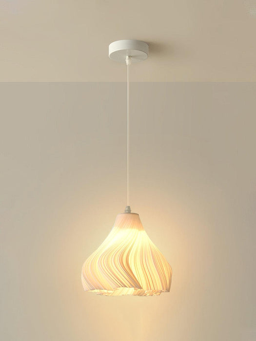 Printing Art Pendant Light-DWHOME