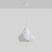 Printing Art Pendant Light-DWHOME