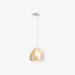 Printing Art Pendant Light-DWHOME