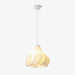 Printing Art Pendant Light-DWHOME