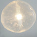 Blown Glass Mesh Pendant Light - DWHOME