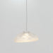 Blown Glass Mesh Pendant Light - DWHOME