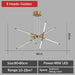 Spider Chandelier - DWHOME