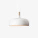 Acorn Pendant Light - DWHOME