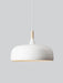 Acorn Pendant Light - DWHOME