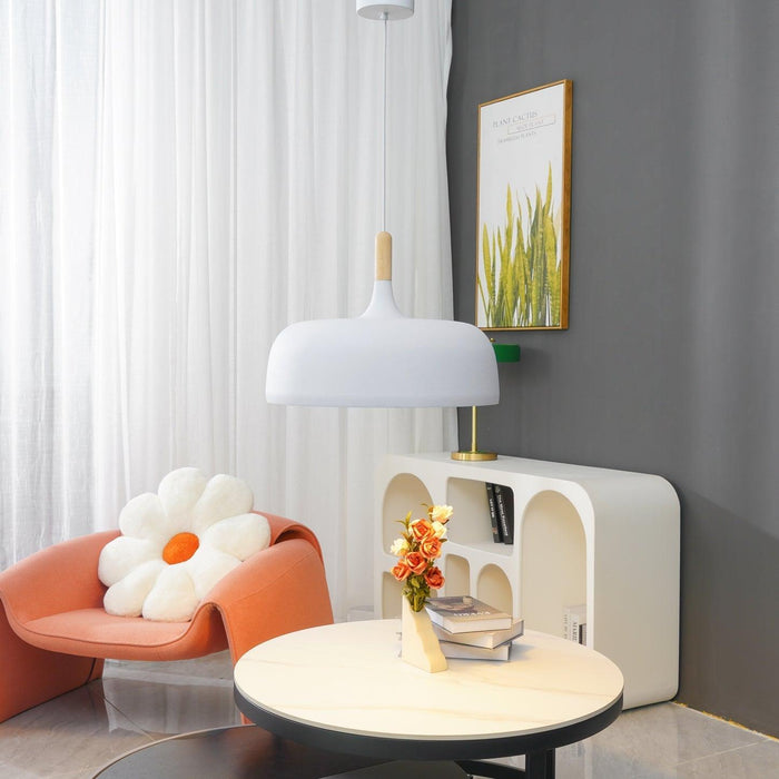 Acorn Pendant Light - DWHOME