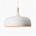 Acorn Pendant Light - DWHOME