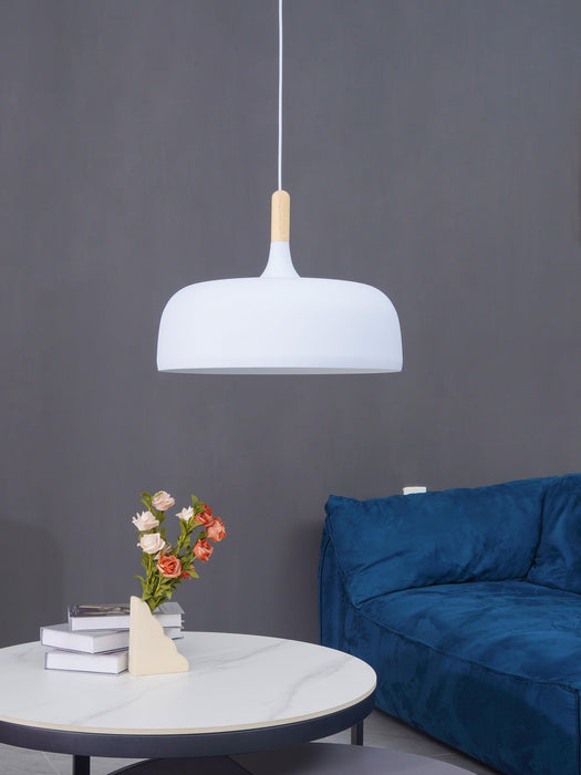 Acorn Pendant Light - DWHOME
