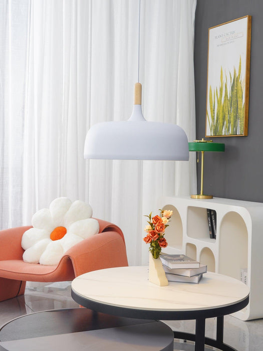 Acorn Pendant Light - DWHOME