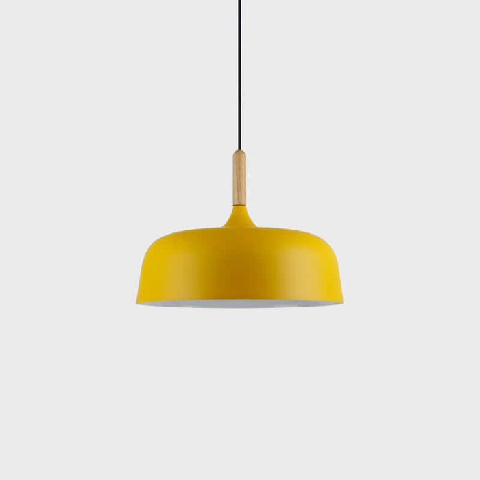 Acorn Pendant Light - DWHOME
