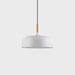 Acorn Pendant Light - DWHOME