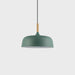 Acorn Pendant Light - DWHOME