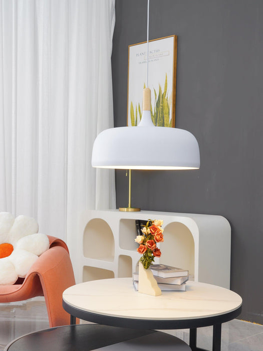 Acorn Pendant Light - DWHOME