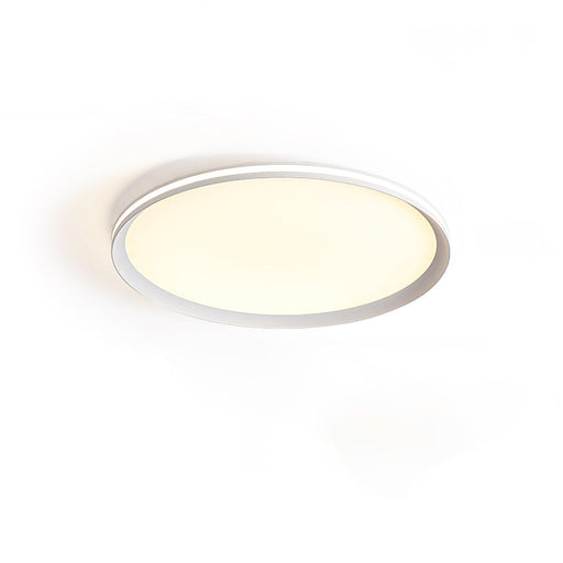 Acrylic Circular LED Ceiling Light-DWHOME
