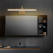 Adelaide Antler Wall Lamp - Vakkerlight
