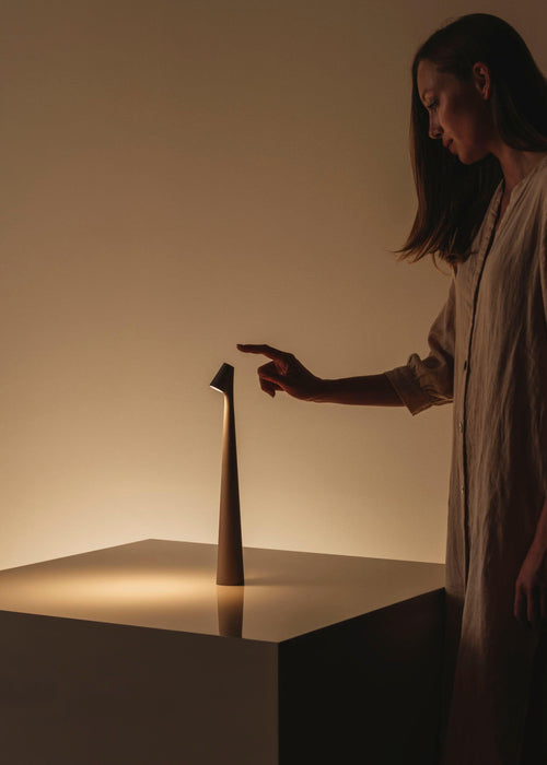 Africa Portable Table Lamp - DWHOME