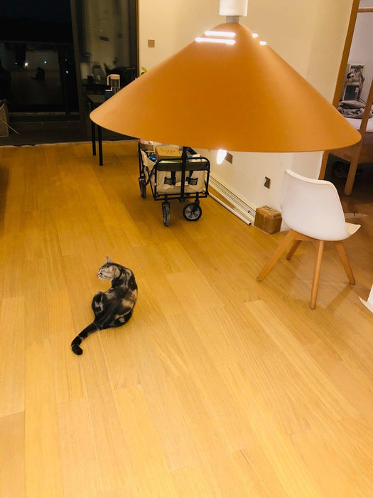 Agnes Retro Pendant Lamp-DWHOME