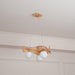 Airplane Pendant Lamp-DWHOME
