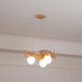 Airplane Pendant Lamp-DWHOME