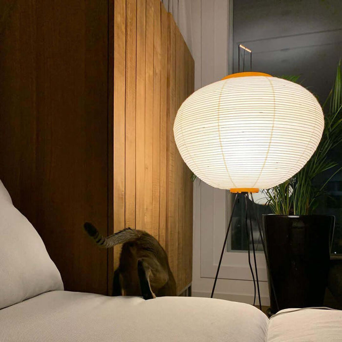 Rice Paper Floor Lamp-DWHOME
