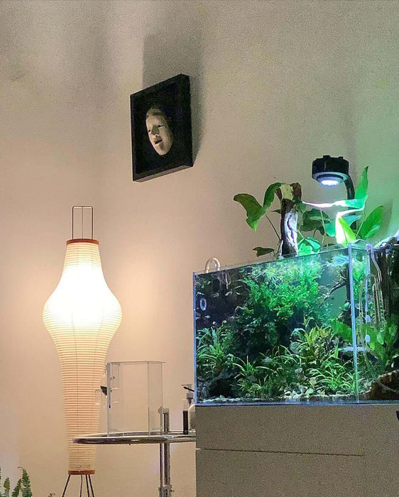 Rice Paper Floor Lamp-DWHOME