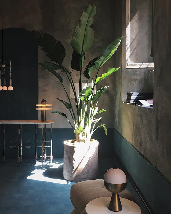 Alabaster Comet Table Lamp - DWHOME