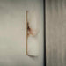 Alabaster Essence Wall Sconce-DWHOME