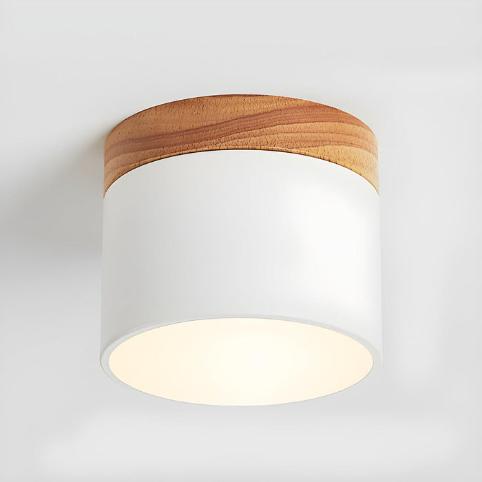 Alva Wooden Surface Downlight-DWHOME
