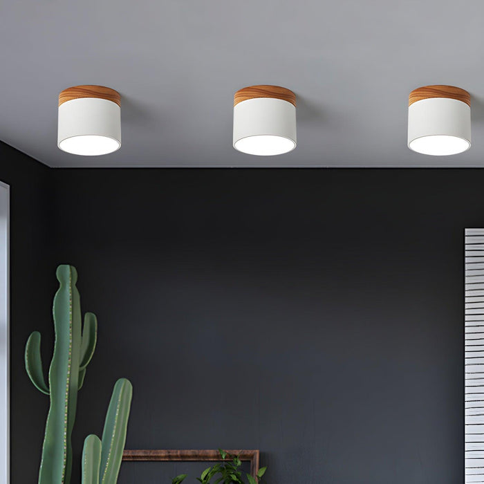 Alva Wooden Surface Downlight-DWHOME