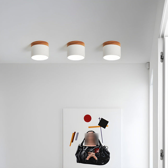 Alva Wooden Surface Downlight-DWHOME