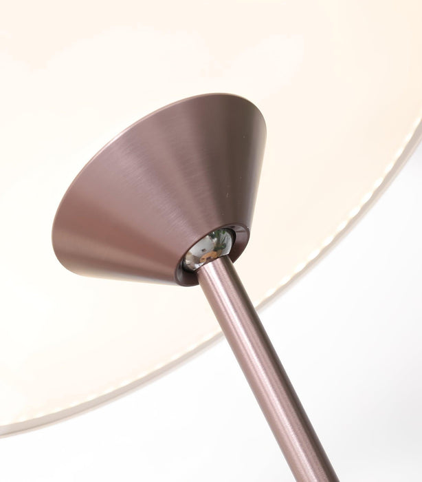 Ambra LED Floor Lamp-DWHOME