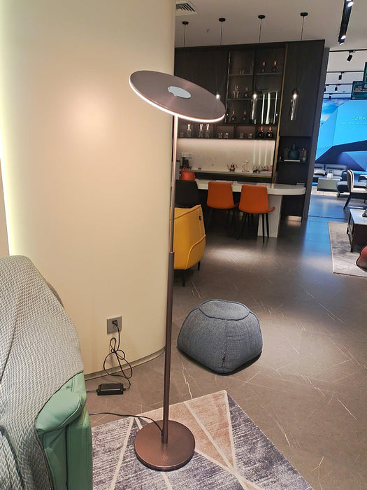 Ambra LED Floor Lamp-DWHOME