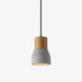 Andenon Cement Pendant Light-DWHOME