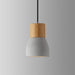 Andenon Cement Pendant Light-DWHOME