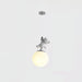 Animal And Moon Pendant Light-DWHOME