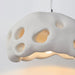 Ant Nest Pendant Lamp-DWHOME