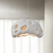 Ant Nest Pendant Lamp-DWHOME