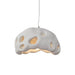 Ant Nest Pendant Lamp-DWHOME
