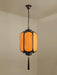 Antique Lantern Outdoor Pendant Light - DWHOME